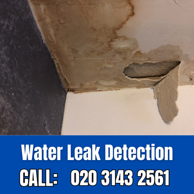 Expert Water Leak Detection Services in Brixton | Brixton Leak Detection